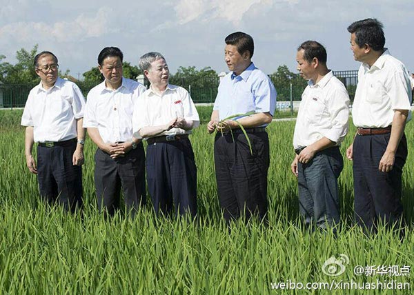  22日下午，习近平来到鄂州市鄂城区杜山镇东港村育种基地